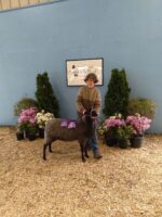 2022 Champion Ewe and Best Fleece, Maryland Sheep and Wool