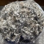 Ervalla Gotland Sheep