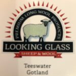 Looking Glass Sheep and Wool
