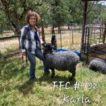 Frans Fiber Creations