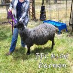 Frans Fiber Creations