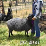 Frans Fiber Creations