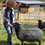 Frans Fiber Creations