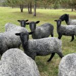 Namekagon Valley Gotlands