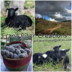 Frans Fiber Creations