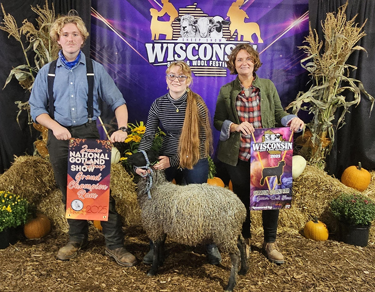 National Gotland Sheep Show 2025