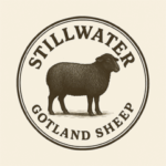 Stillwater Gotlands