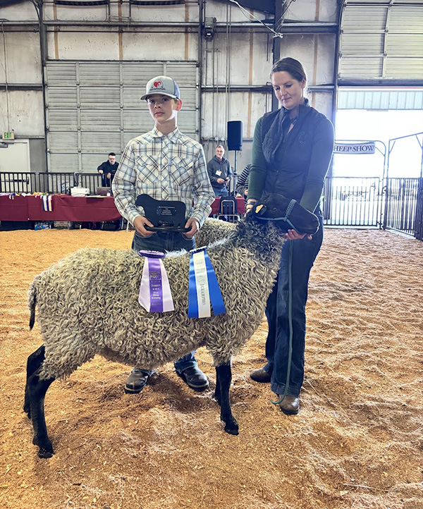 National Gotland Sheep Show 2026